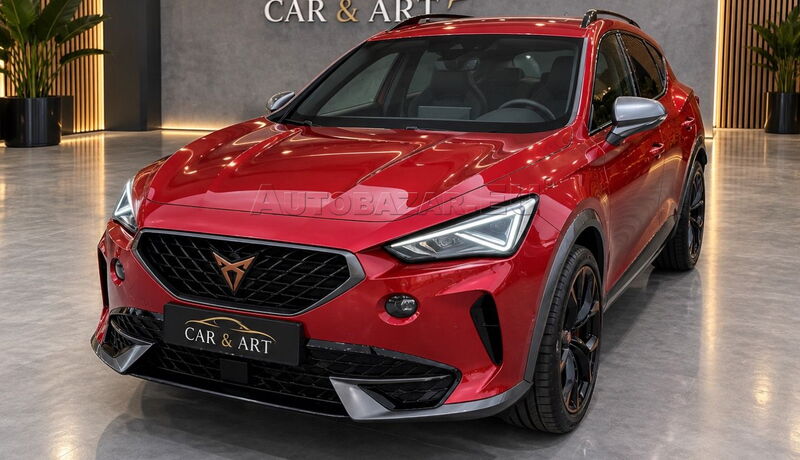 Inzerát: Cupra Formentor 2.0 TDI 150k 4Drive DSG